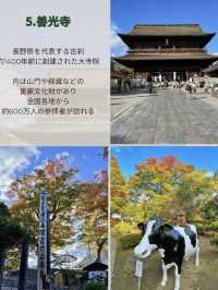 長野に行ったらしたいこと🌲🏯⛩おすすめ7選🤗