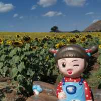 Sunflower field 🌻