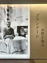 アーティゾン美術館「ブランクーシ　本質を象る」