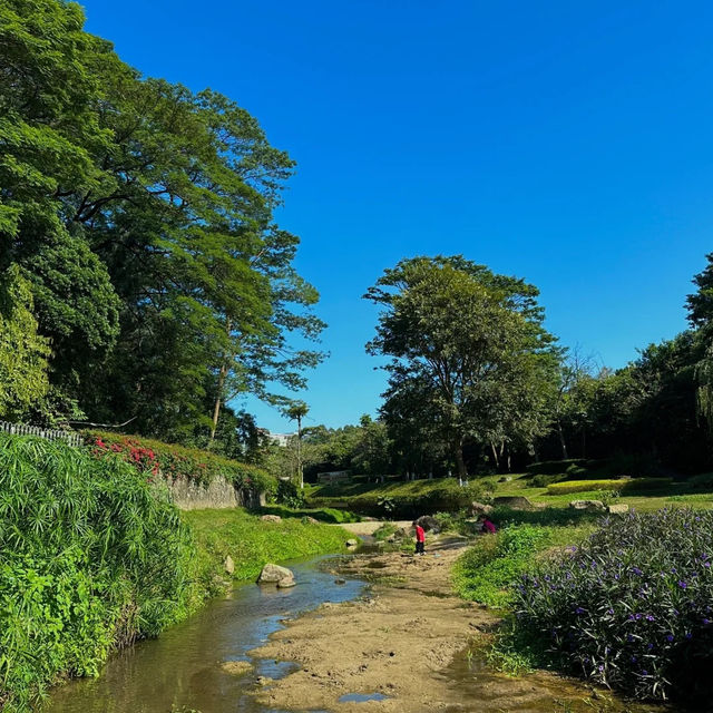 上海東灘濕地公園~生態大畫捲 上海東灘濕地公園~生態大畫捲