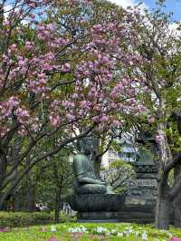 자연의 싱그러움, 분홍 꽃이 만발하고 🌸 나무와 풀의 푸르름이 깃든 🌳 도쿄 봄여행지 추천