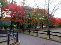 【福岡】🌴九州自然動物園：小動物摸摸樂，親子好去處！