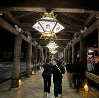 kiyomizu dera illumination 🏮🍁