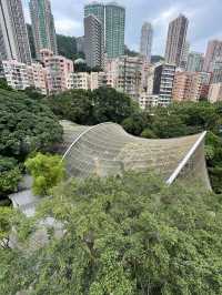 🌟春日探訪香港綠洲：尤德觀鳥園🌿