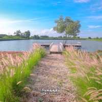 BRAKE MY DAY CAFE