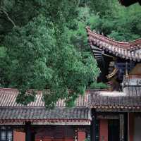 「府山公園：自然美景，多彩活動，春天好去處」