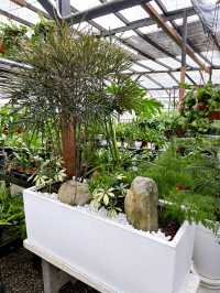 Why Choose AGRO Nursery?