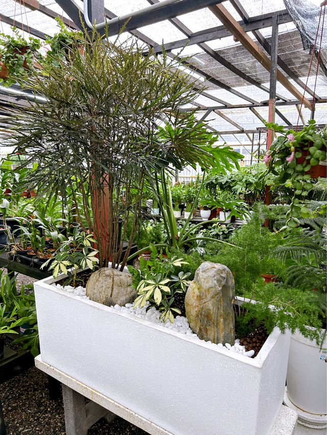Why Choose AGRO Nursery?