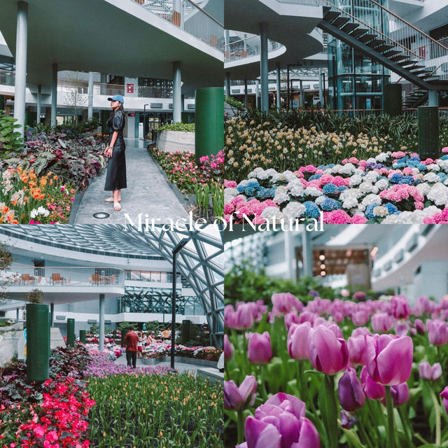 มัดรวม 16 ที่กินที่เที่ยวที่พักระยอง 