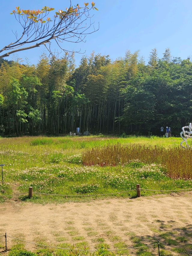 👨‍🍳🍓스타벅스_기장임랑원 부산카페추천