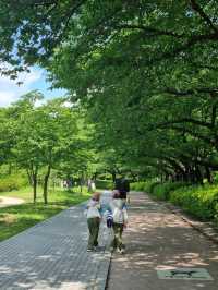 서울 도심 한복판에서 찾은 피크닉 명소