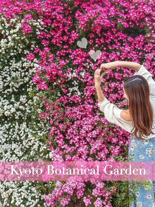 【京都】季節の花が楽しめて、ピクニックも出来る200円で入れる植物園