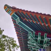 寶蓮禪寺｜參觀大佛腳下的特色殿堂