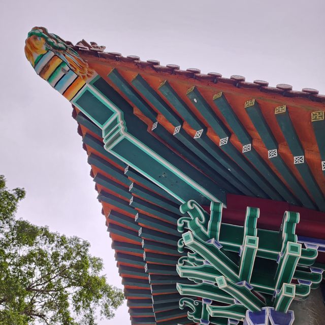 寶蓮禪寺｜參觀大佛腳下的特色殿堂