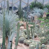 【成都植物園】春日百花齊放，2024年春遊首選