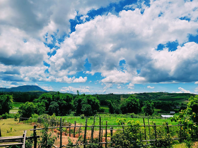 Plain of Jars Site 3