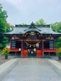 【群馬】戌・亥年の方に行ってほしい!!御朱印がかわいい🤍紫陽花見頃なパワスポ✨
