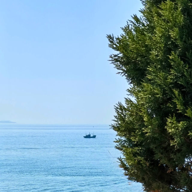 閑麗海上國立公園～細味海洋