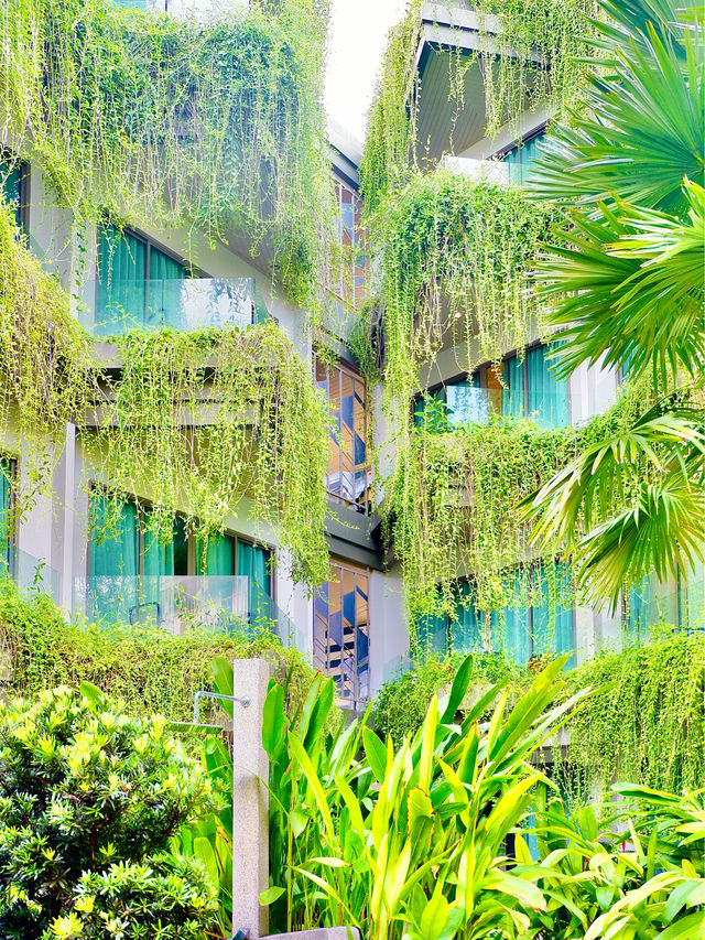 <RECOMMENDED> Insta-Worthy Hotel In Phuket🇹🇭🏨 <RECOMMENDED> Insta-Worthy Hotel In Phuket🇹🇭🏨