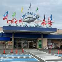 日本大阪自駕游🇯🇵 紀伊半島環島6日6夜