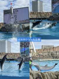 雨の日も暑い日もOK 水族館でひんやり過ごそう