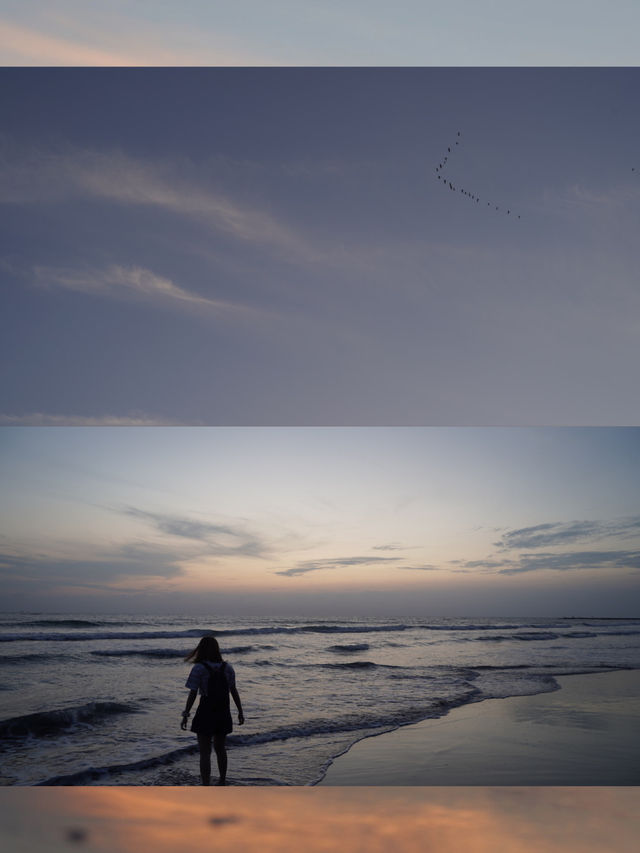 台南漁光島～夢幻小島🏝️