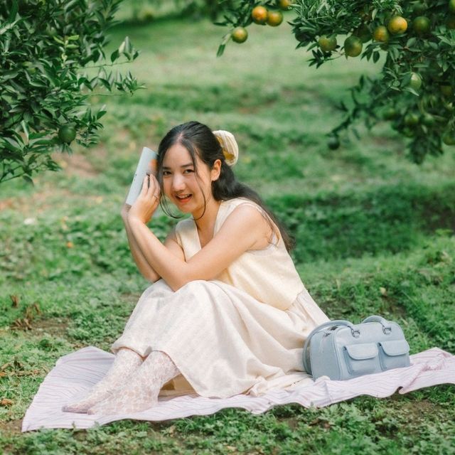 สวนของฉัน My garden 