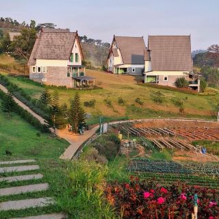 Wonderful Experience at Dalat Wonder 