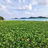 【座間味島】慶良間ブルーの海と夕陽