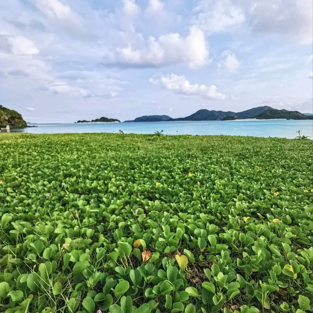 【座間味島】慶良間ブルーの海と夕陽
