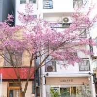 在日本遇到日本橋古典與潮流的彙集