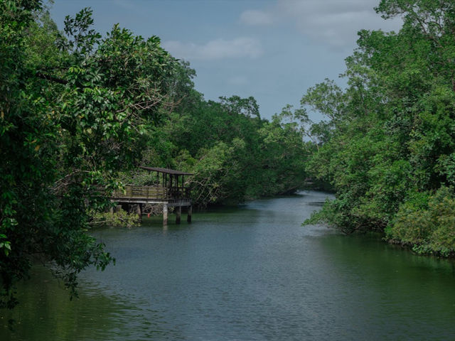 Pasir Ris Town Park