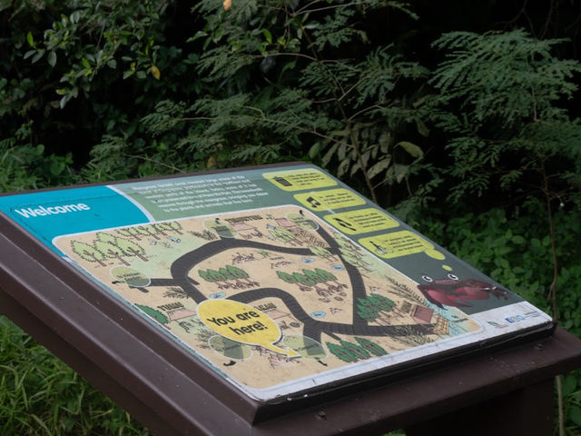 Pasir Ris Town Park