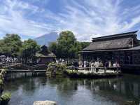 富士山の湧水でできた忍野八海@山梨県🦢