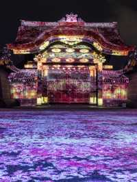 〜京都府〜世界遺産二条城桜まつり