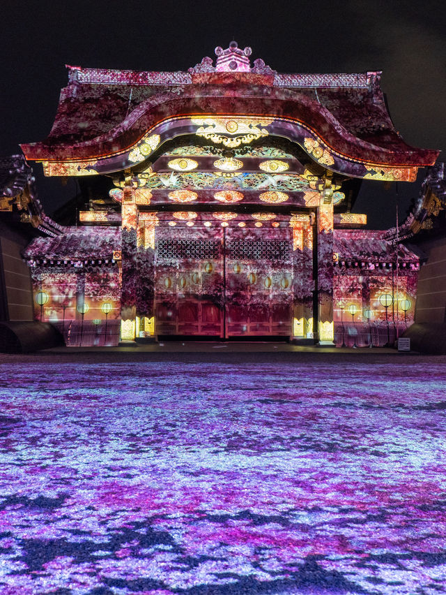 〜京都府〜世界遺産二条城桜まつり