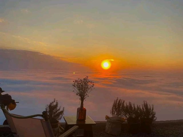 Discovering Tà Xùa, Yên Bái: A Nature Lover's Paradise
