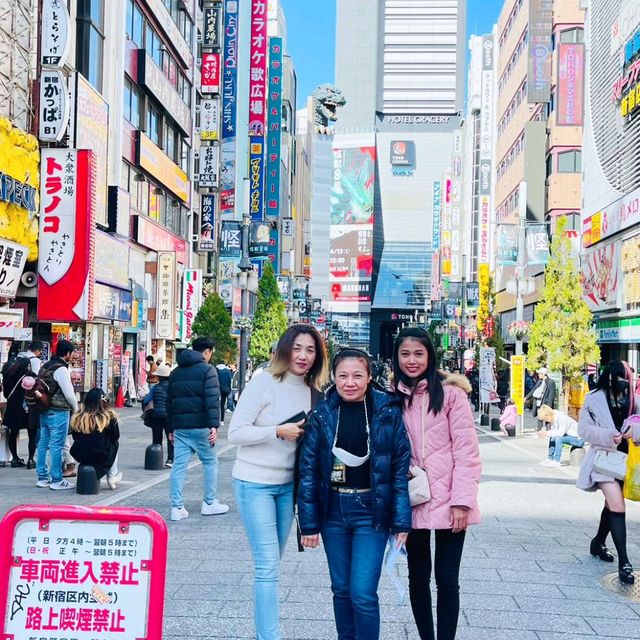 Tokyo Fuji Japan 