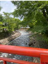 【静岡/伊豆修善寺】竹林の小径でおさんぽ🎋