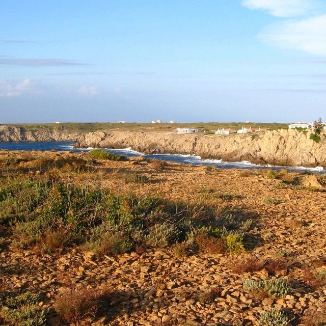 The Best of Balearics