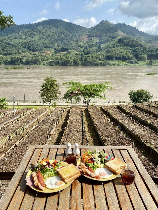 Farm Stay 100 ไร่ริมแม่น้ำโขง🏹แบบชีวิตไม่ลำบาก