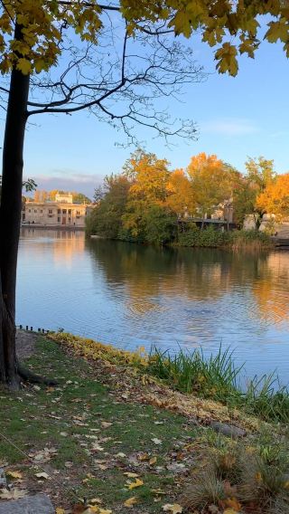 Golden Wonders: A Magical Autumn Day at Royal Łazienki Park