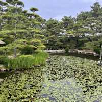 香川・丸亀『中津万象園・丸亀美術館』✨