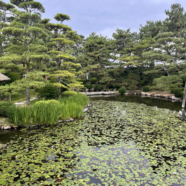 香川・丸亀『中津万象園・丸亀美術館』✨