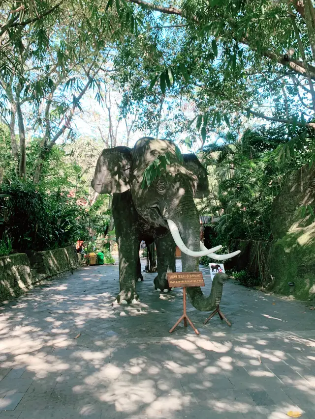 【バリ島】可愛い動物に沢山出会えるサファリ&マリンパーク