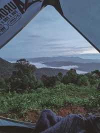 แคมป์ปิ้ง ชมทะเลหมอก ☁️🏕️ ม่อนเงาะ 