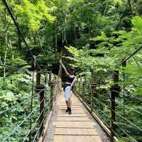 If you visit Tokyo City and wants to experience easy hiking trip, go to Mt. Takao!!