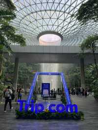 🏆 Traveller’s Wonderland @ Jewel Changi Airport
