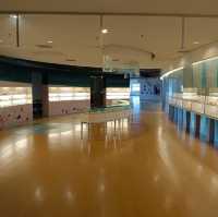 「旗津海岸公園遊客中心」貝殼博物館，增廣見聞
