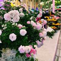 💐 พาไปมูพระพิฆเนศ ใจกลางนิมมาน 